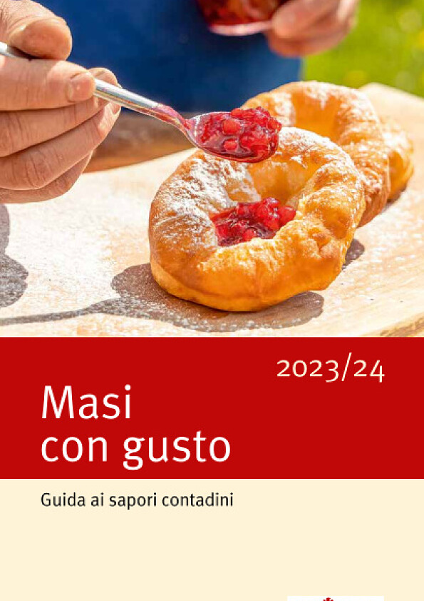 Masi con gusto - cover