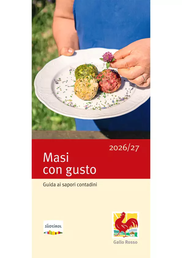 Masi con gusto - cover