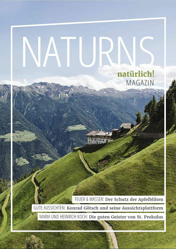 Naturns - Das alpin-mediterrane Wellness-Dorf - cover