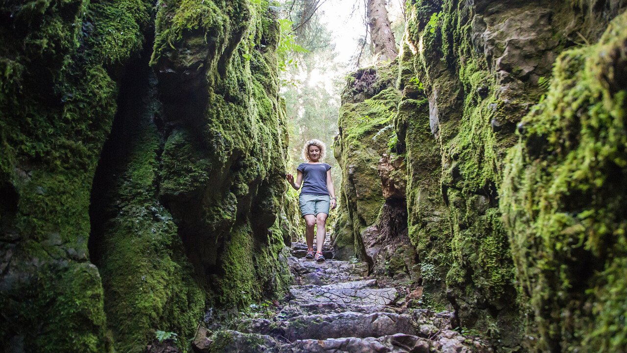 Forra del lupo - Folgaria in Alpe Cimbra