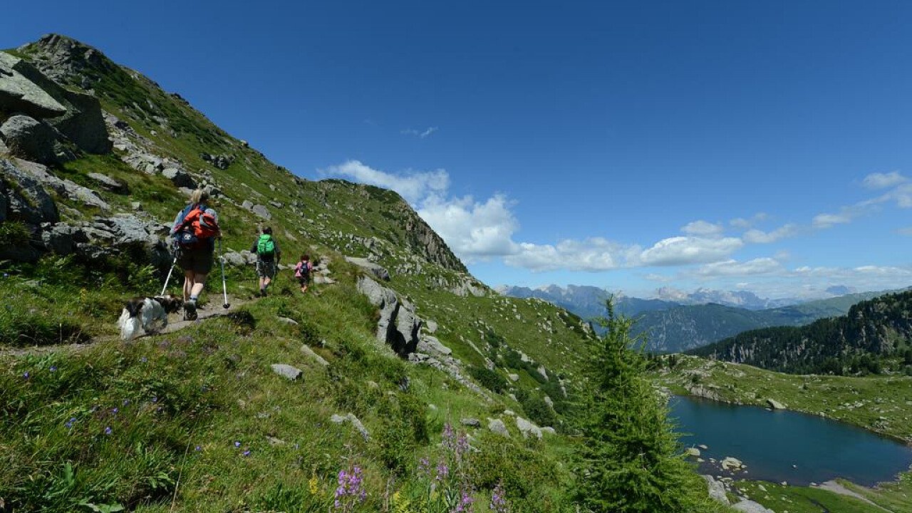 Nordic walking in Val di Fiemme