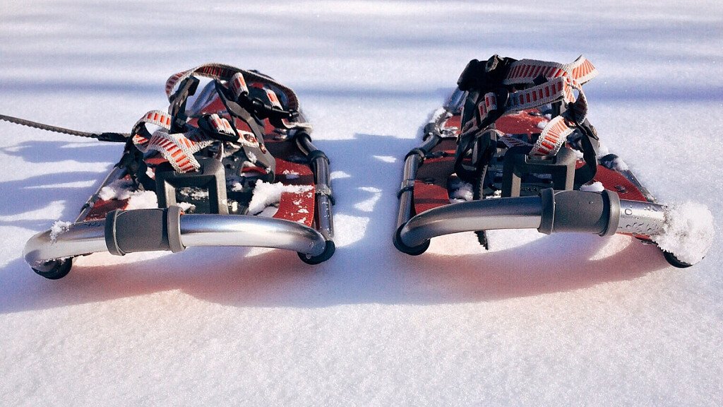 Tipi di racchette da neve