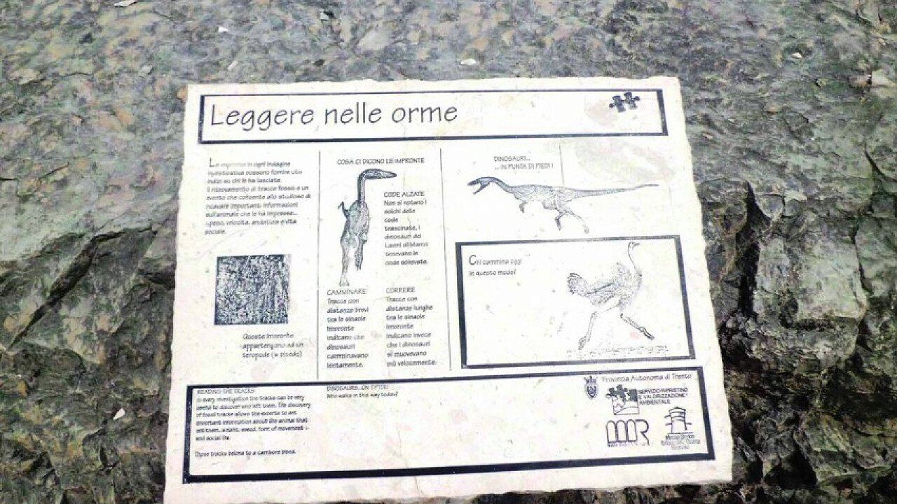 Pannello interattivo del Museo Orme dei dinosauri Rovereto