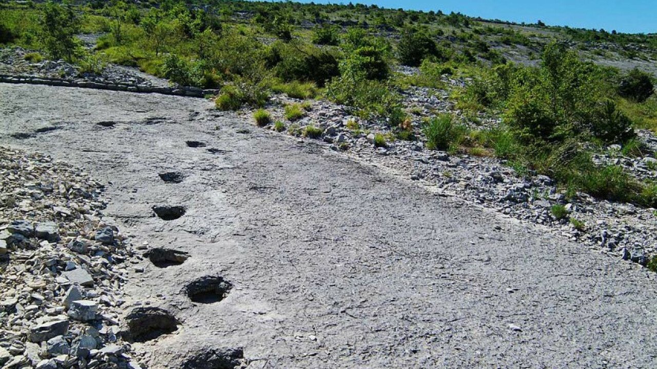 Museo Orme dei dinosauri Rovereto