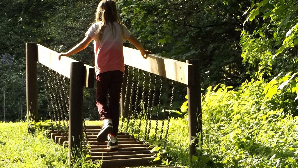 Parchi avventura in Trentino: adrenalina tra alberi e ponti sospesi