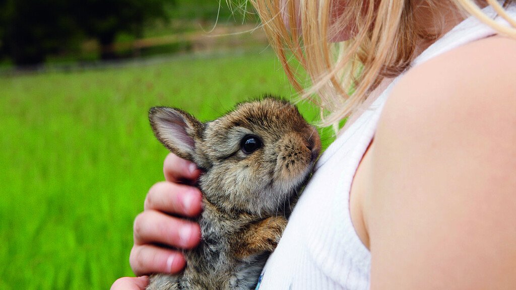 Trascorrere una vacanza in agriturismo