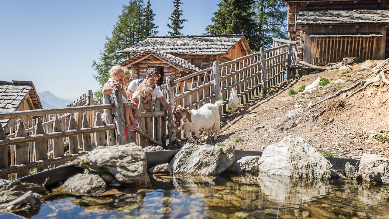 lago_animali_olperl_tre_cime_marketing_kottersteger