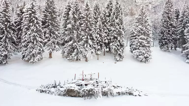 Arne Quinze, Trabucco di Montagna, 2017