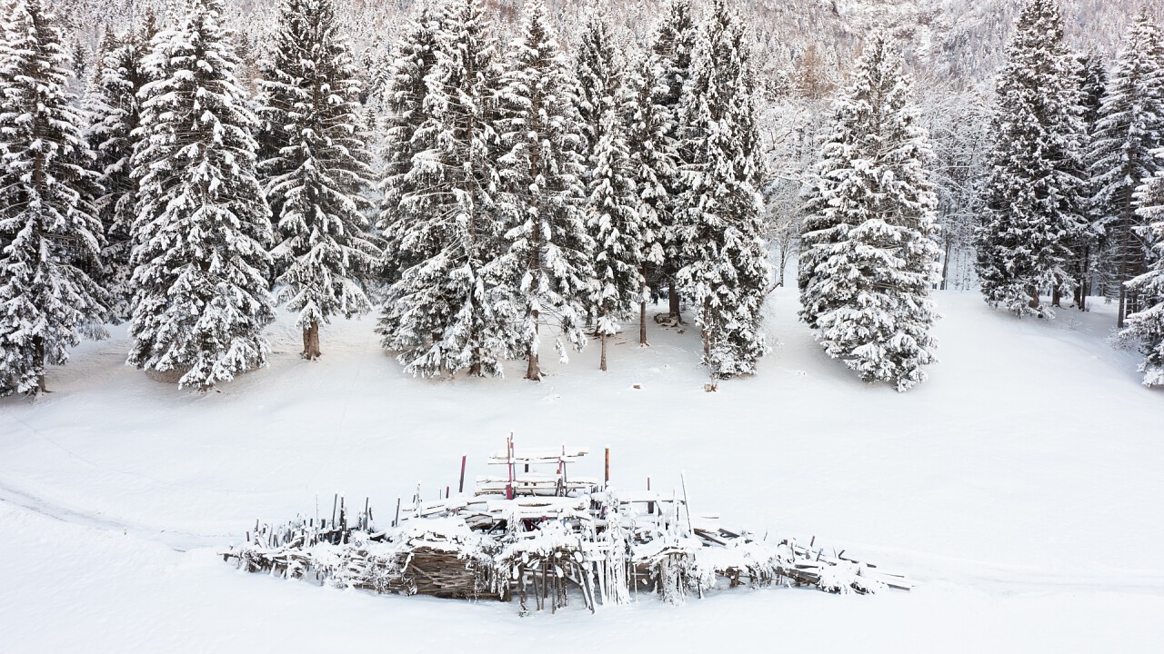 Arne Quinze, Trabucco di Montagna, 2017