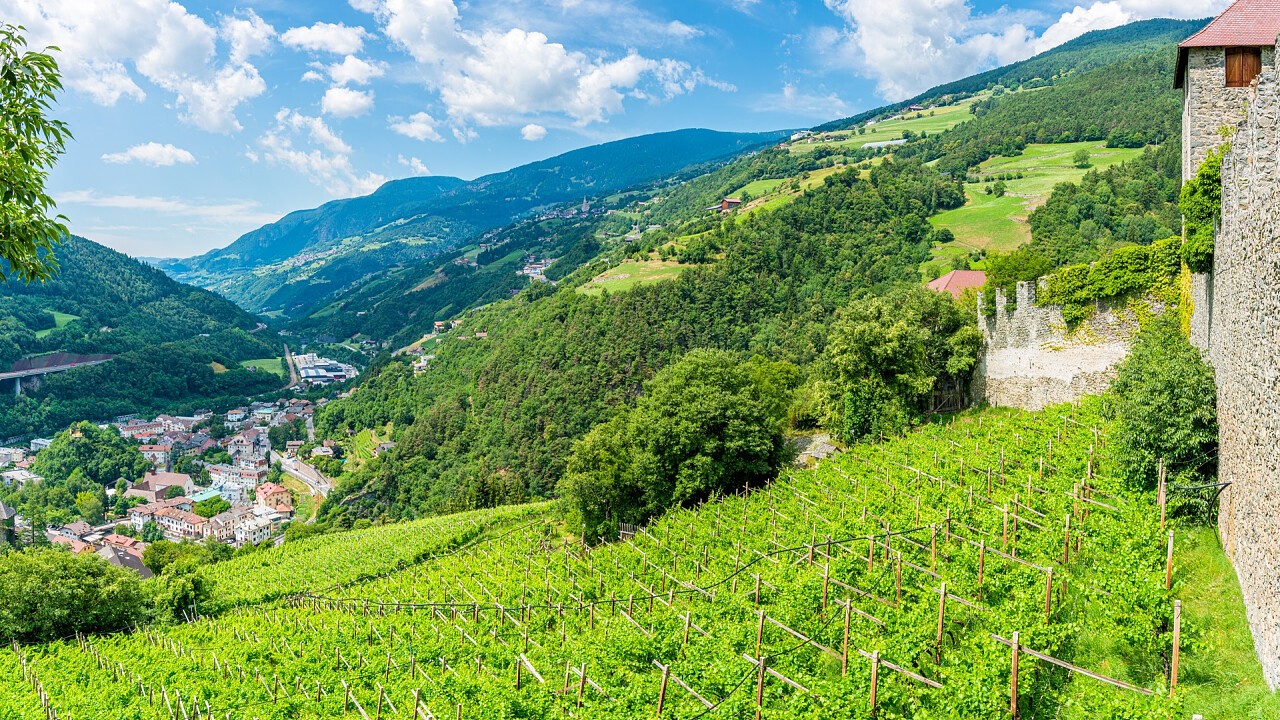 vigneti attorno Bolzano