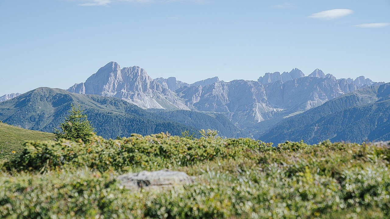 Dolorama sentiero - Alpe di Luson in estate