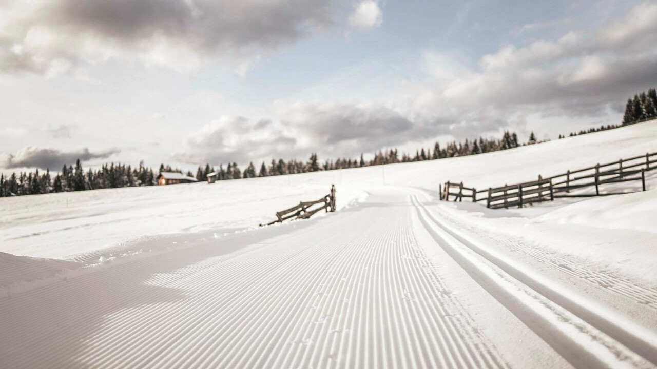 sci di fondo Alpe Luson