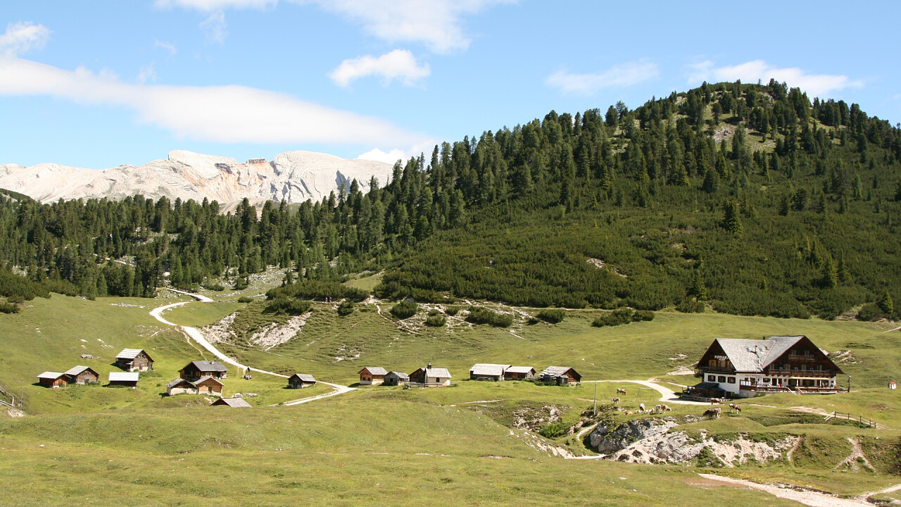 Fodara Vedla in estate