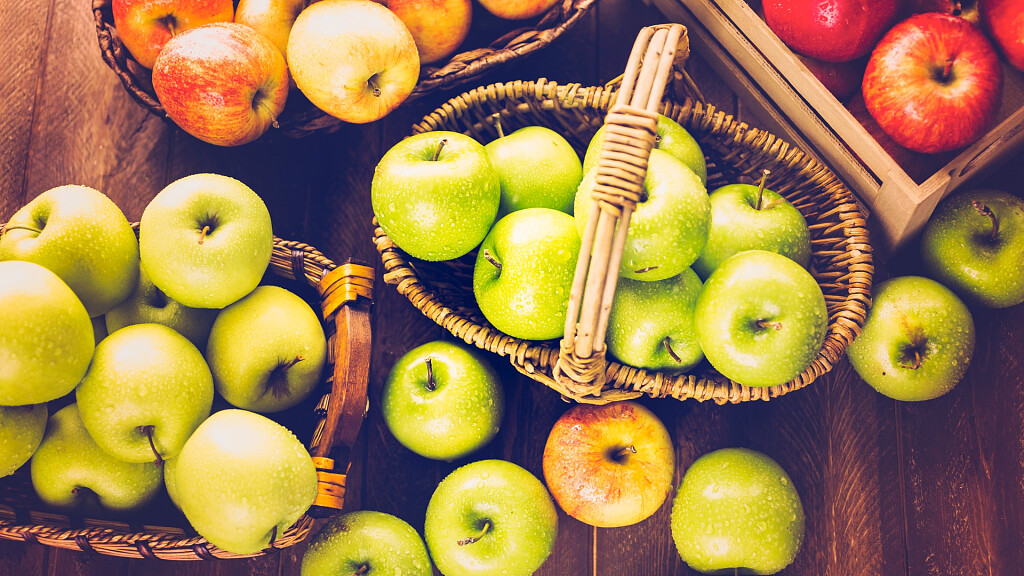 Il Museo della Frutticoltura