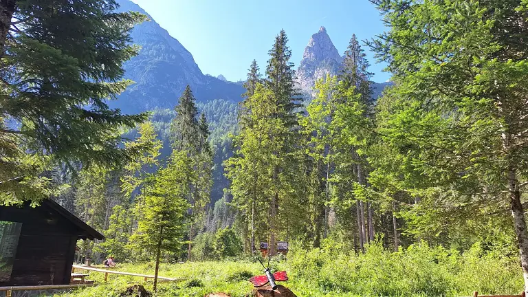 The Somadida Forest in Auronzo di Cadore