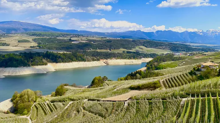 lago santa giustina con meleti in fiore