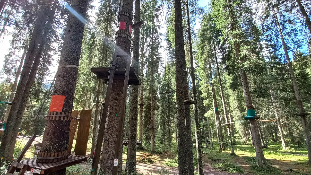 Parco Avventura Agility Forest a San Martino di Castrozza