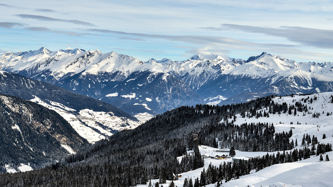 montagne_innevate_racines_shutterstock
