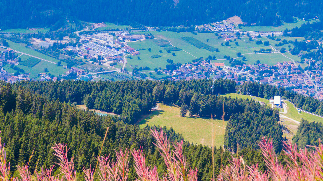 prati_verdi_val_rendena_shutterstock