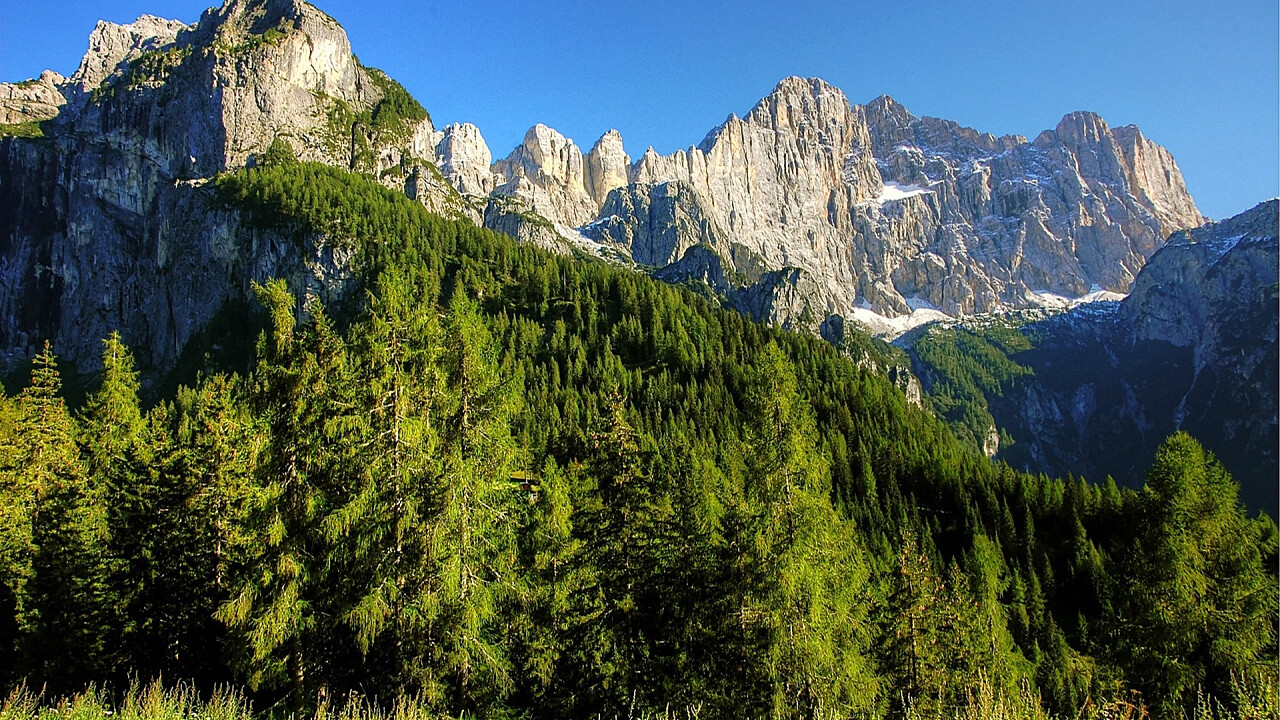 civetta_estate_pixabay_kordi_vahle