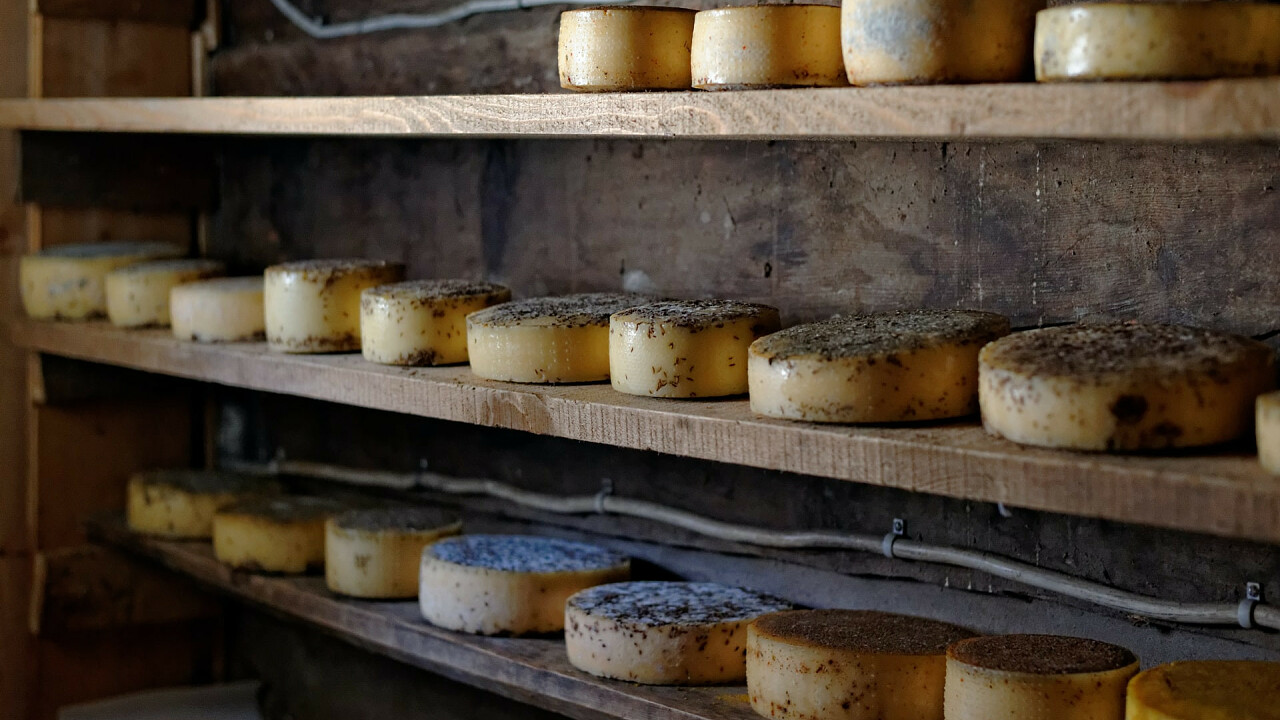 formaggi_xavier_von_erlach_unsplash