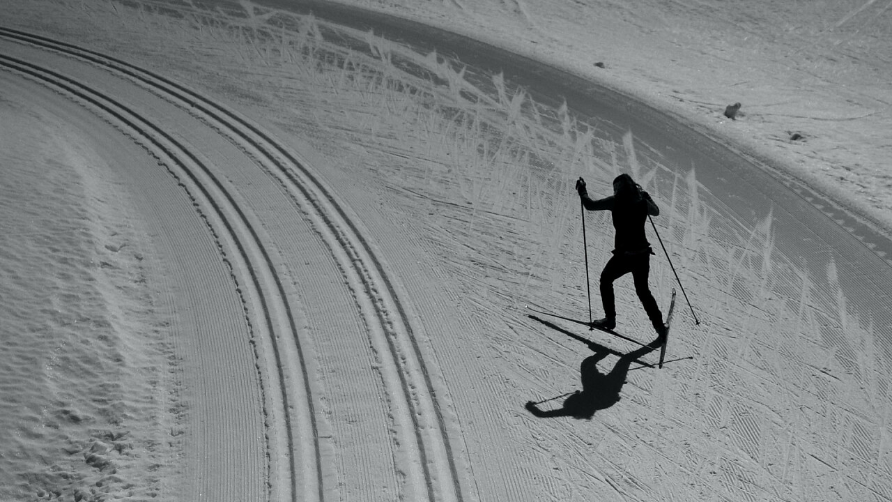 sci_di_fondo_thomas_dils_unsplash