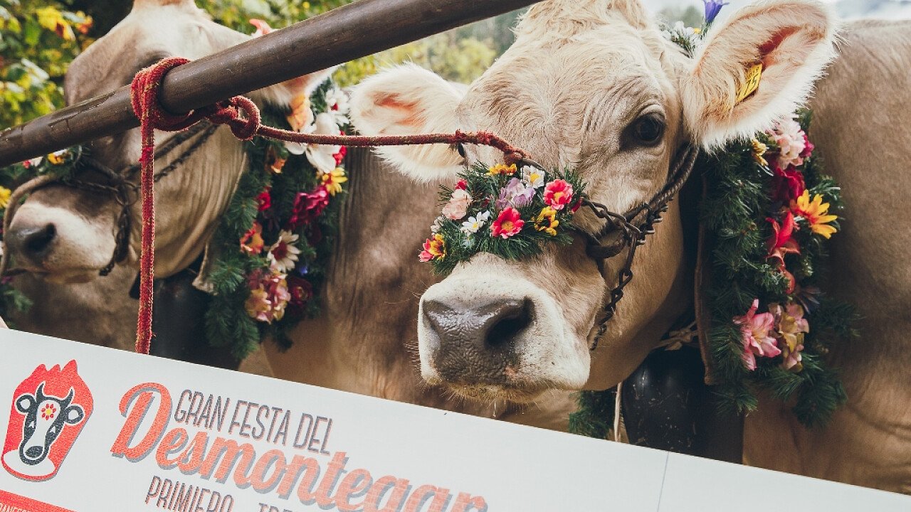 Gran Festa del Desmontegar - Trentino