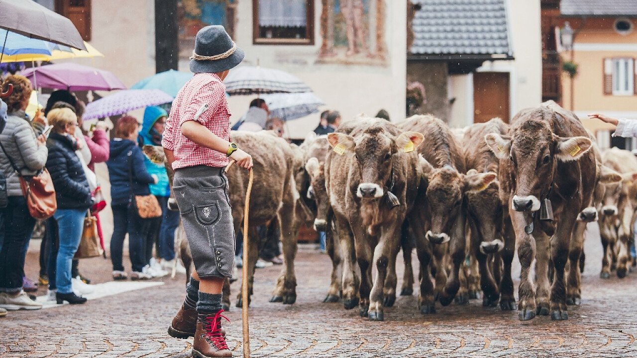 Gran Festa del Desmontegar - Trentino