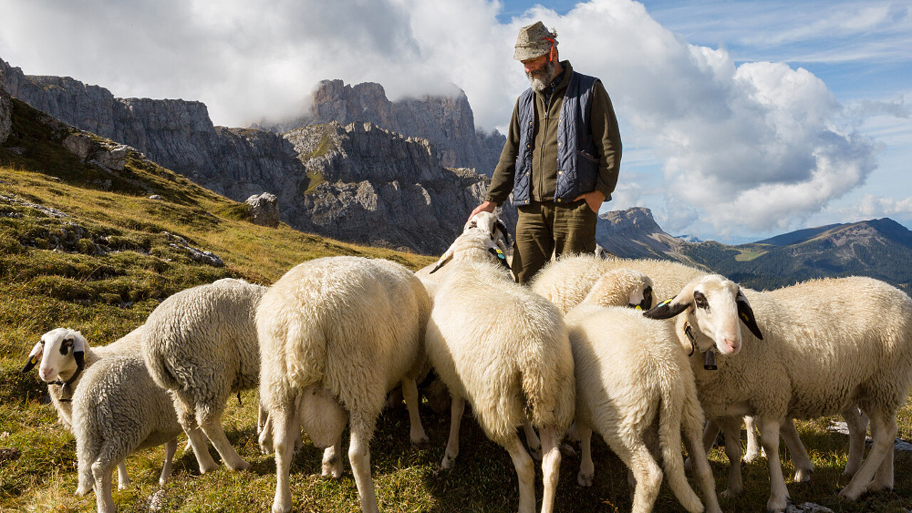 specialita_agnello_gy_02_apt_valdifunes