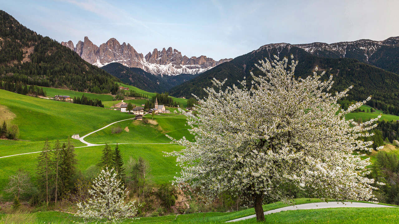 giorante_culinarie_primaverili_gy_02_apt_valdifunes