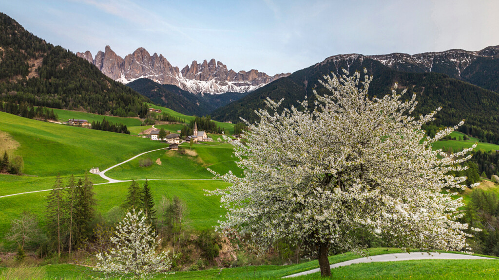 Slow Food Travel - Speciality Week Spring