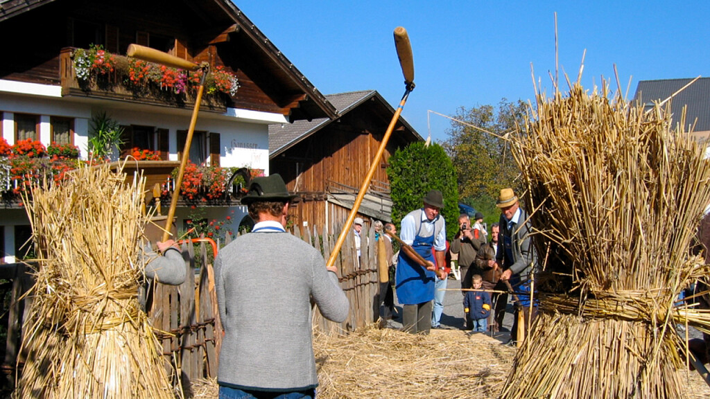 Farmers’ Festival at Tiso