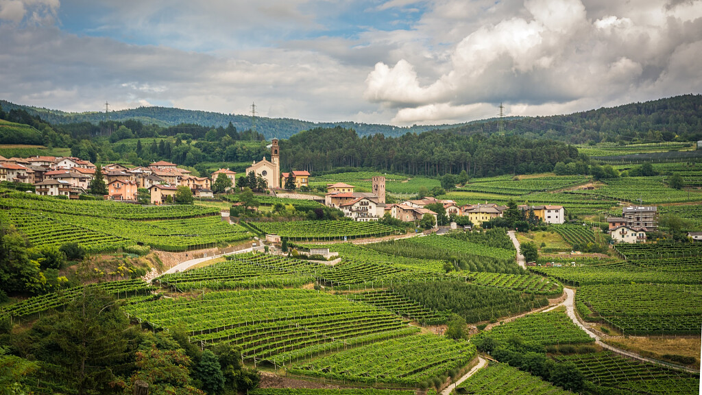 Rassegna e Concorso Vini Müller Thurgau