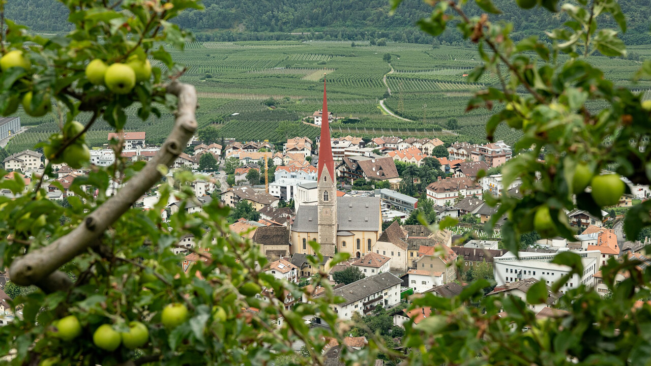 alberi_di_melo_paese_di_silandro_shutterstock