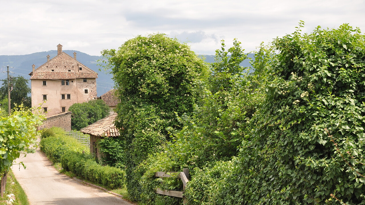 passeggiare_a_termeno_shutterstock