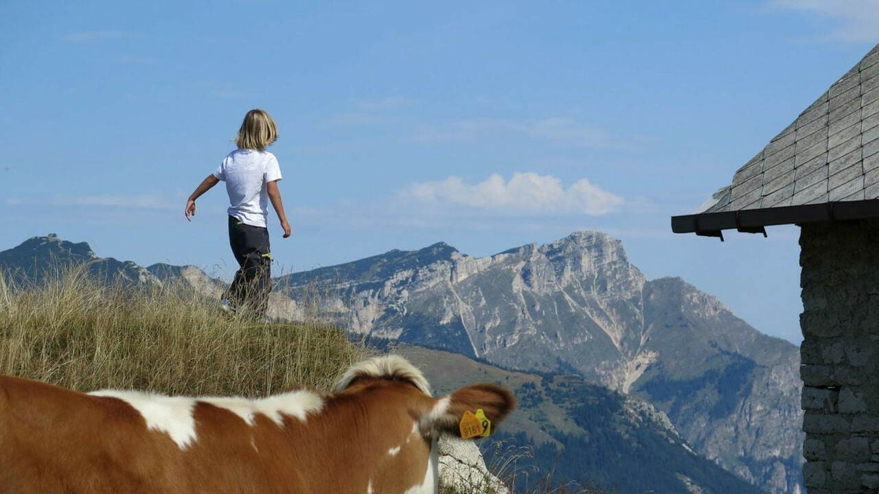 albe_in_malga_alpe_cimbra_gy_02_Mirco_Dalprà