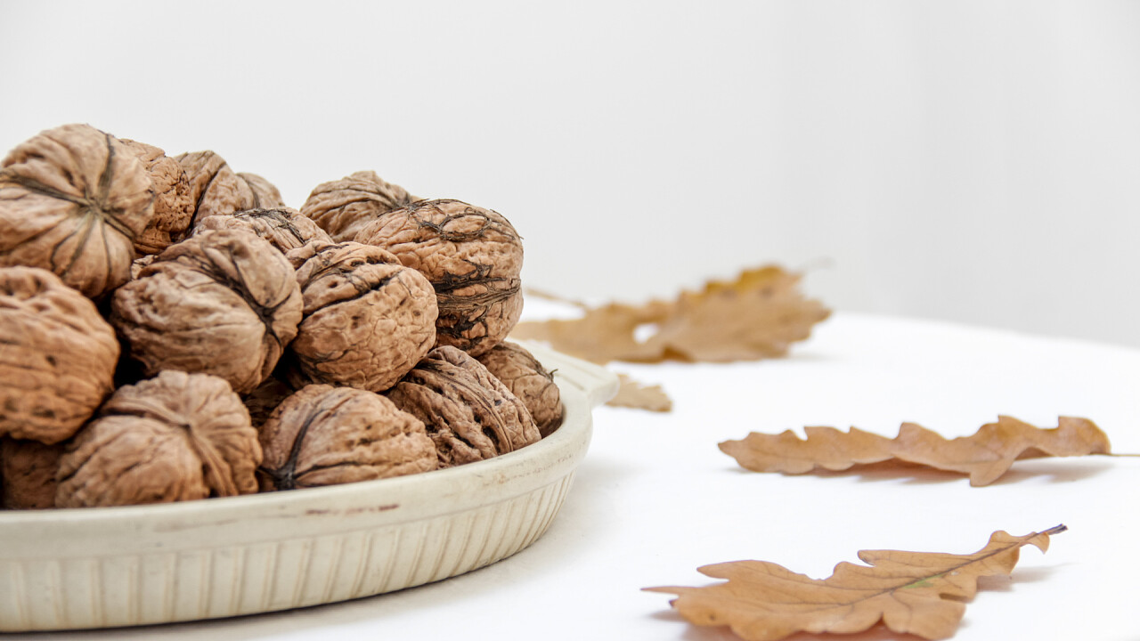 noci_StockSnap_Nordwood_Themes