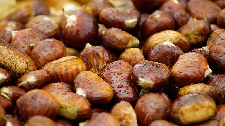 castagne_pixabay_jackmac34