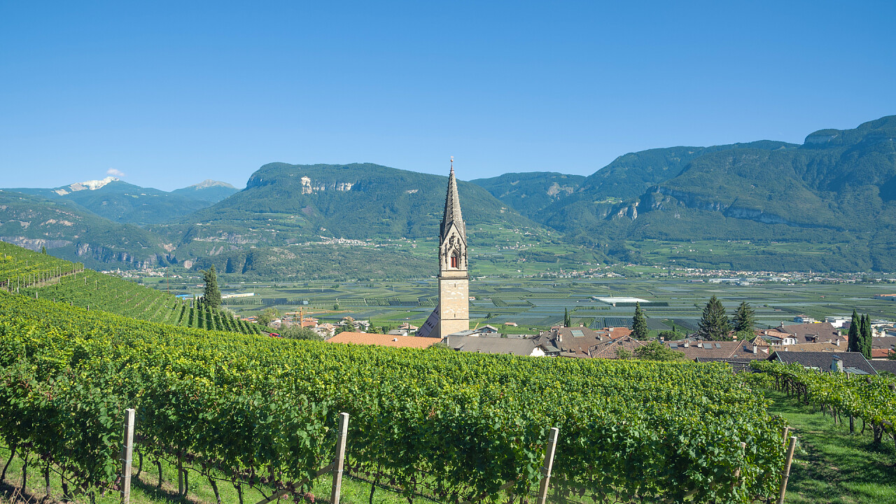 vigneti_chiesa_termeno_dreamstime_travelpeter