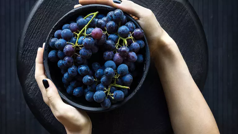 The Grape Festival