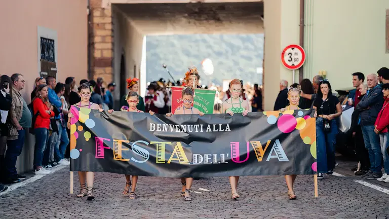The Grape Festival
