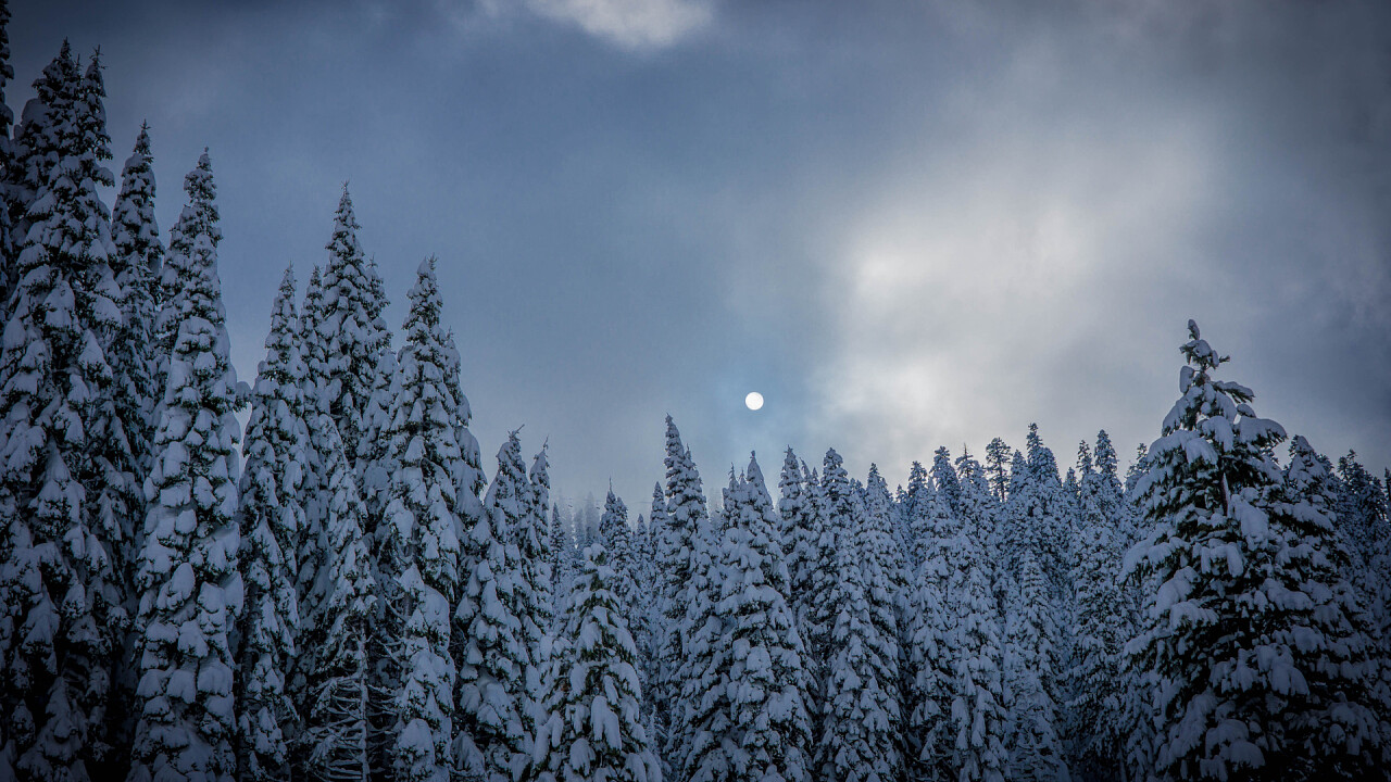 notte_parco_luna_StockSnap_Aaron_Thomas
