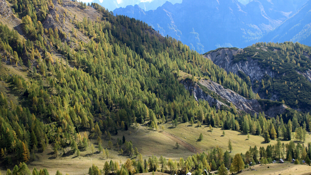 Passo San Pellegrino - Fuciade Hut