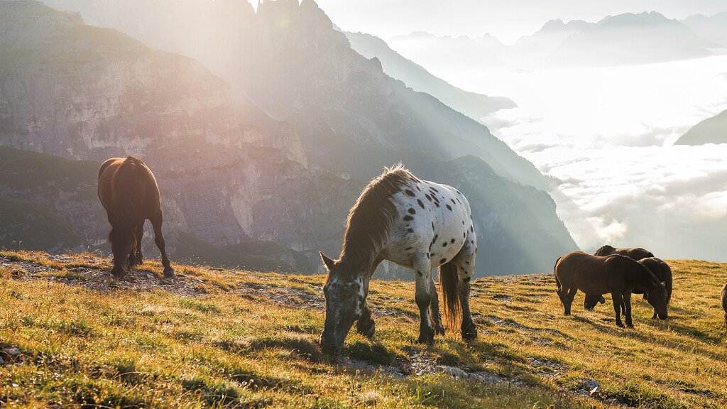 La Val Canzoi e la sua natura