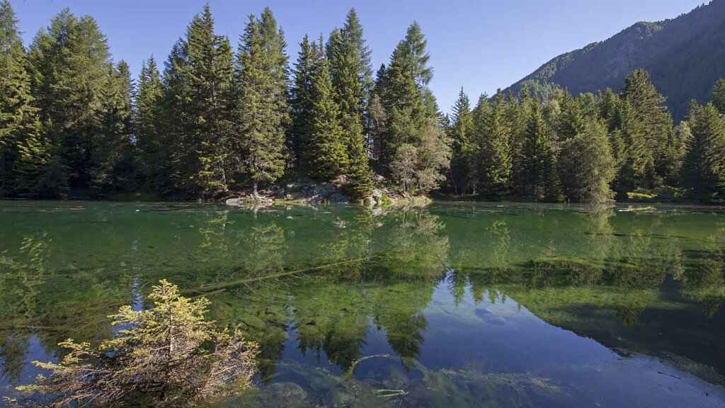 Escursione ai Laghi Zirmtal