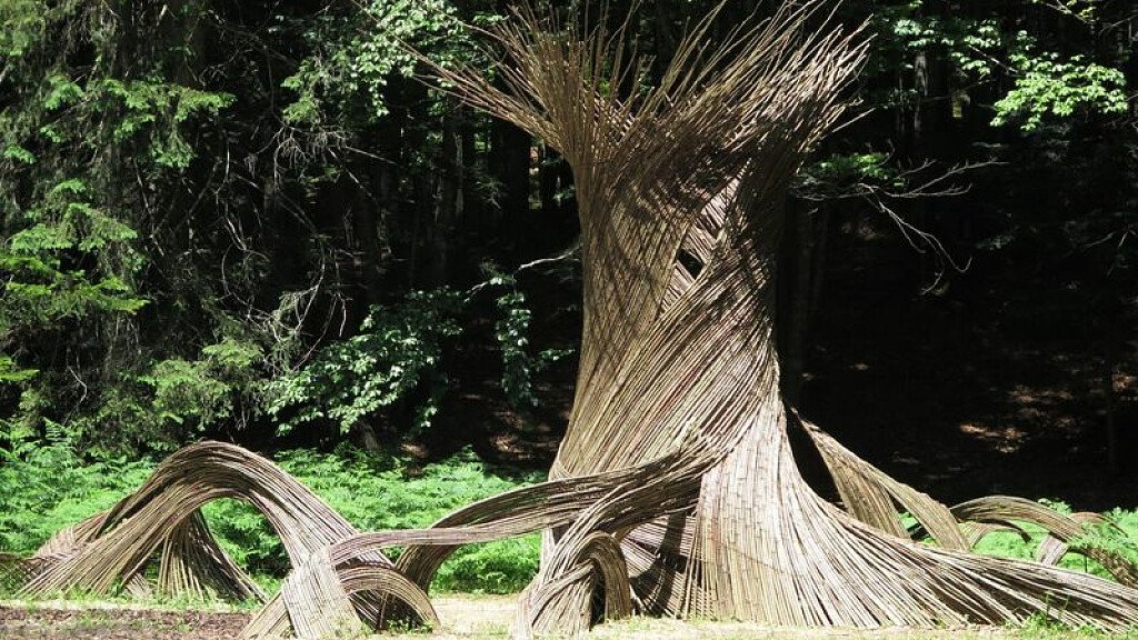 Il respiro degli alberi