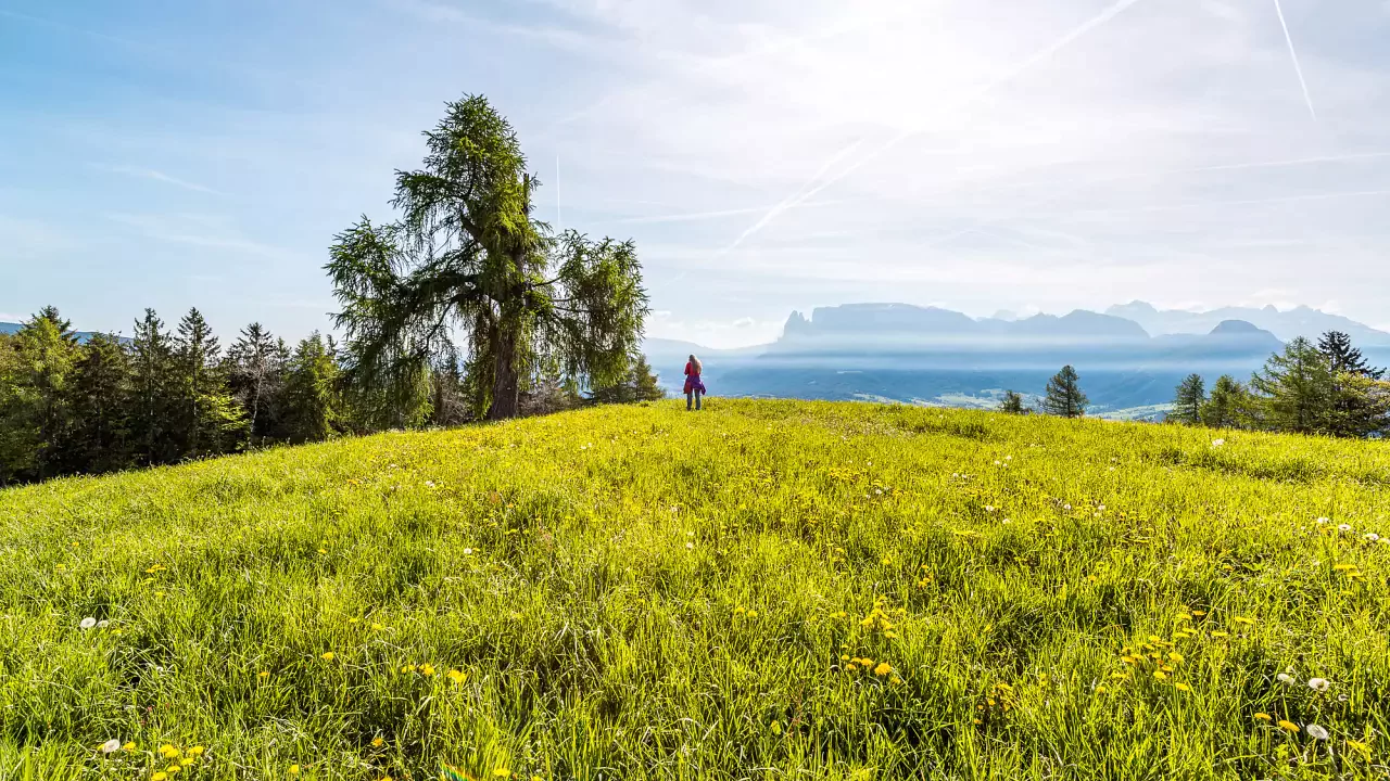 Escursione da Soprabolzano a Collalbo | Sentieri panoramici del Renon