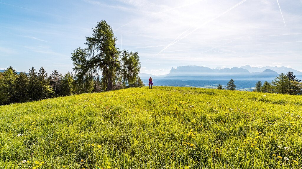 Da Soprabolzano a Collalbo: il più bel sentiero dei castagneti del Renon