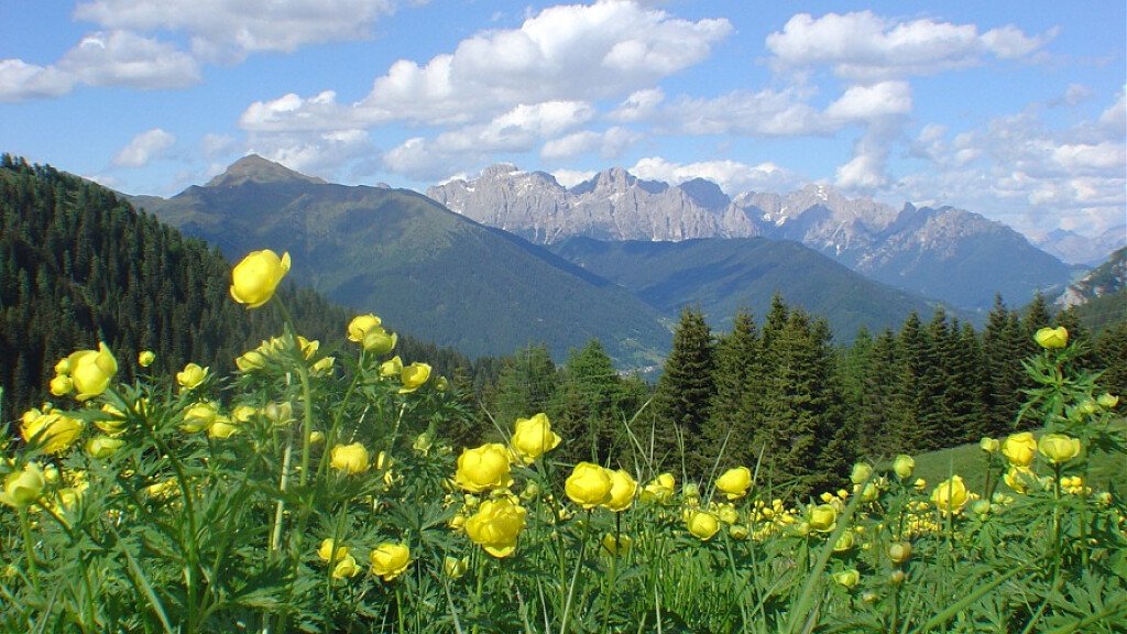 Trekking – Il Trodo dei Fiori