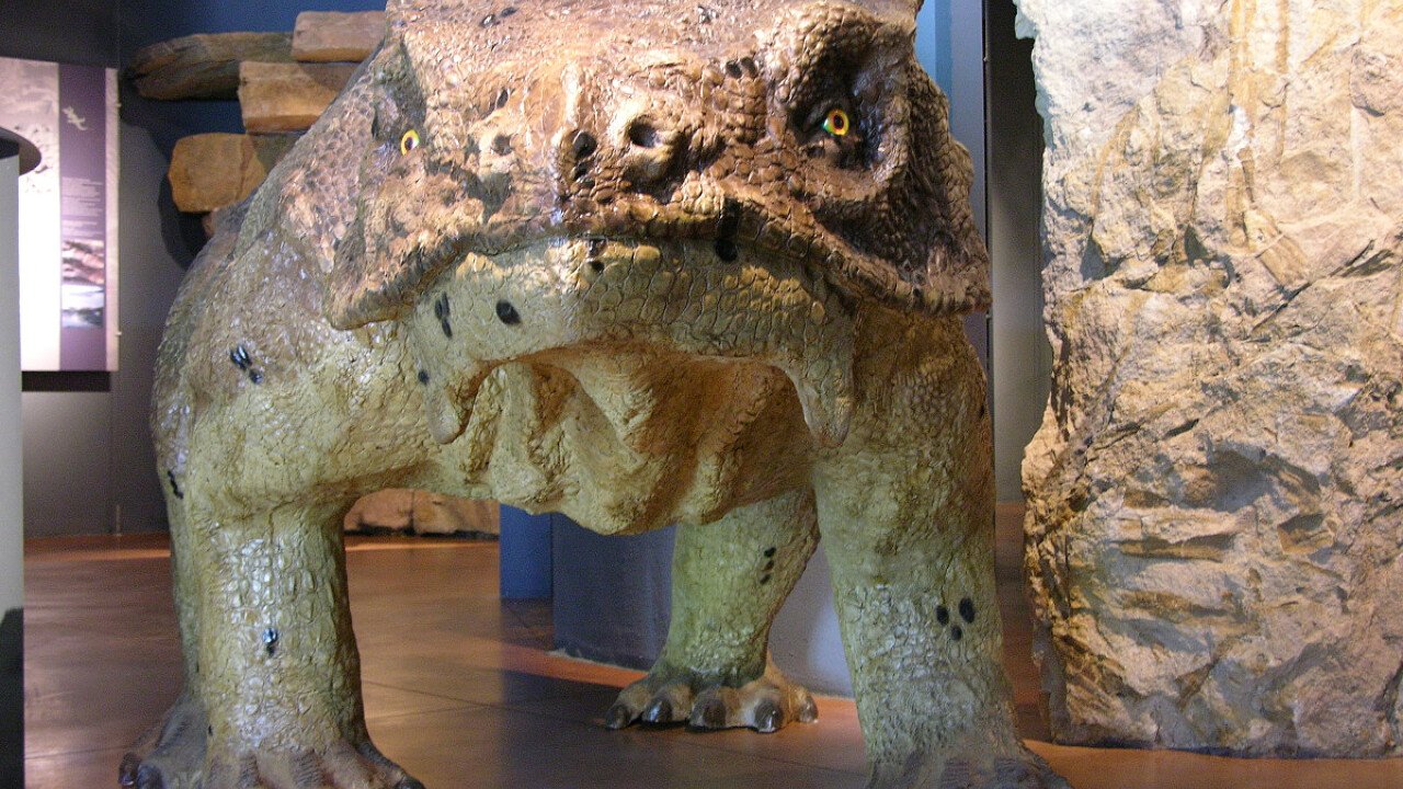 pareiasauro_centro_visitatori_aldino_geoparc_bletterbach